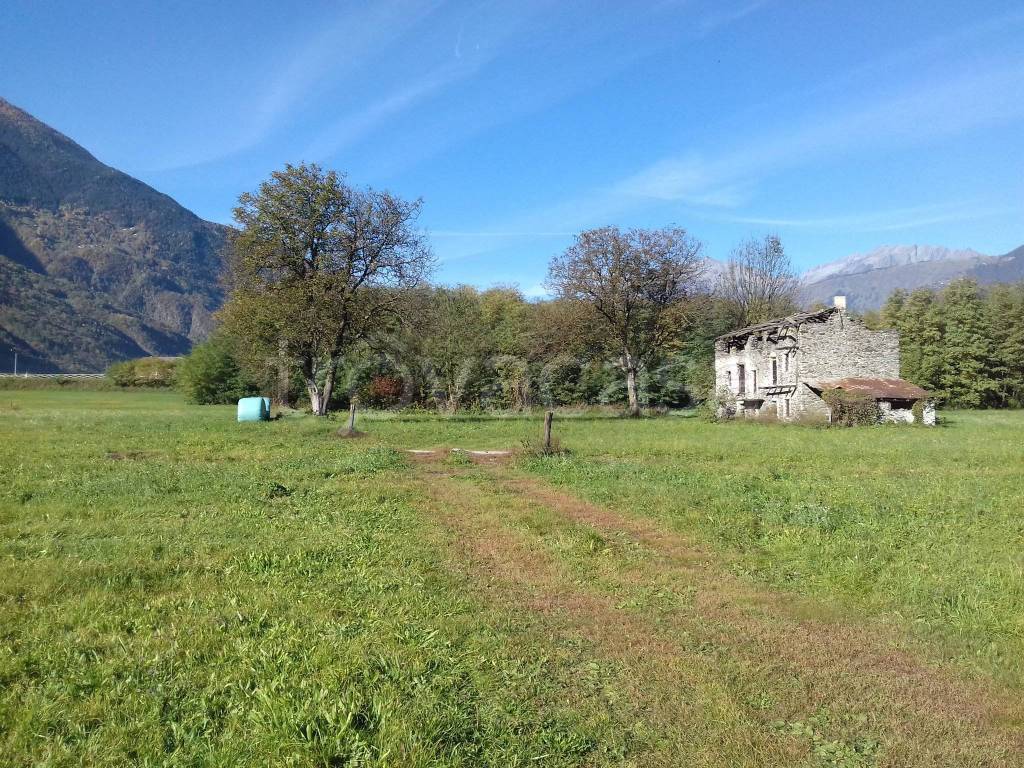 immagine annuncio 1 di 3