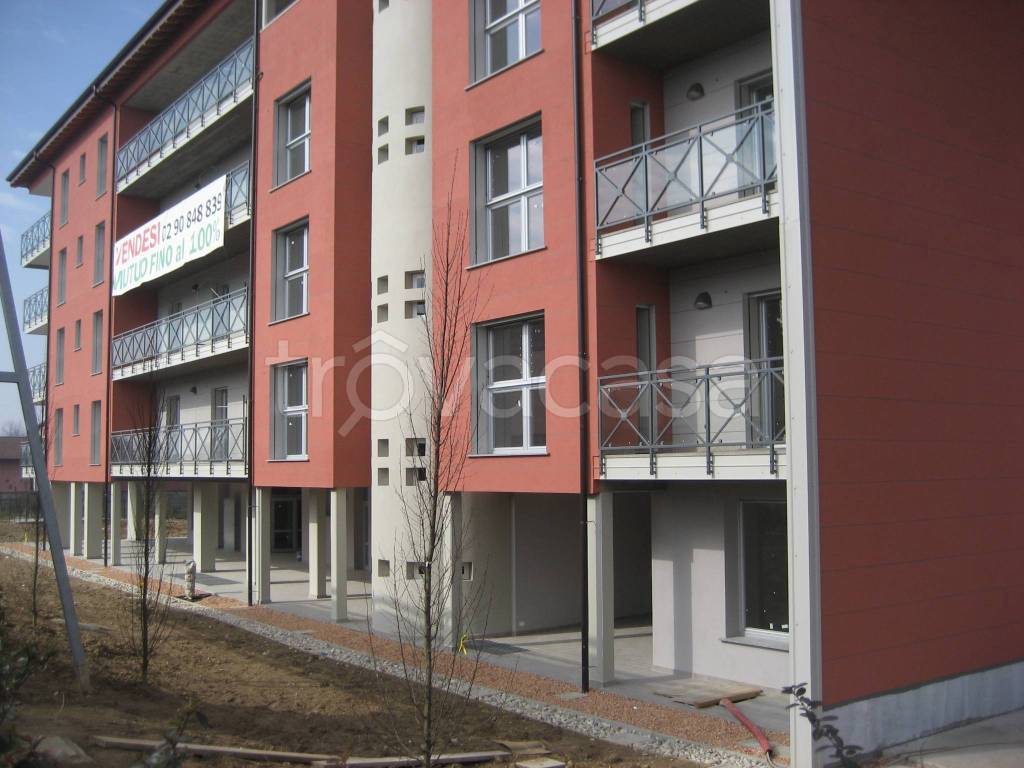 immagine annuncio 10 di 15