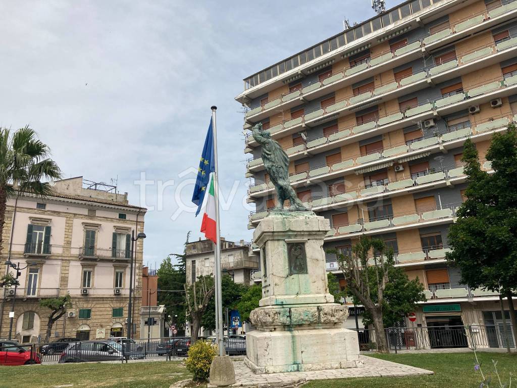 immagine annuncio 5 di 8