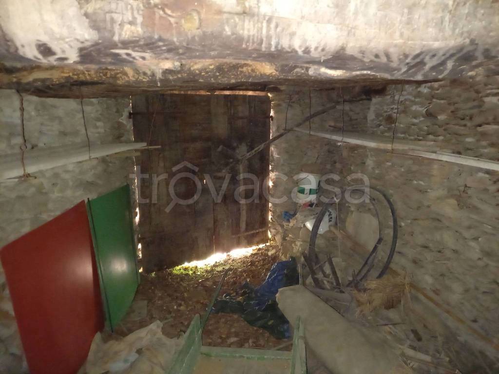 immagine annuncio 9 di 14