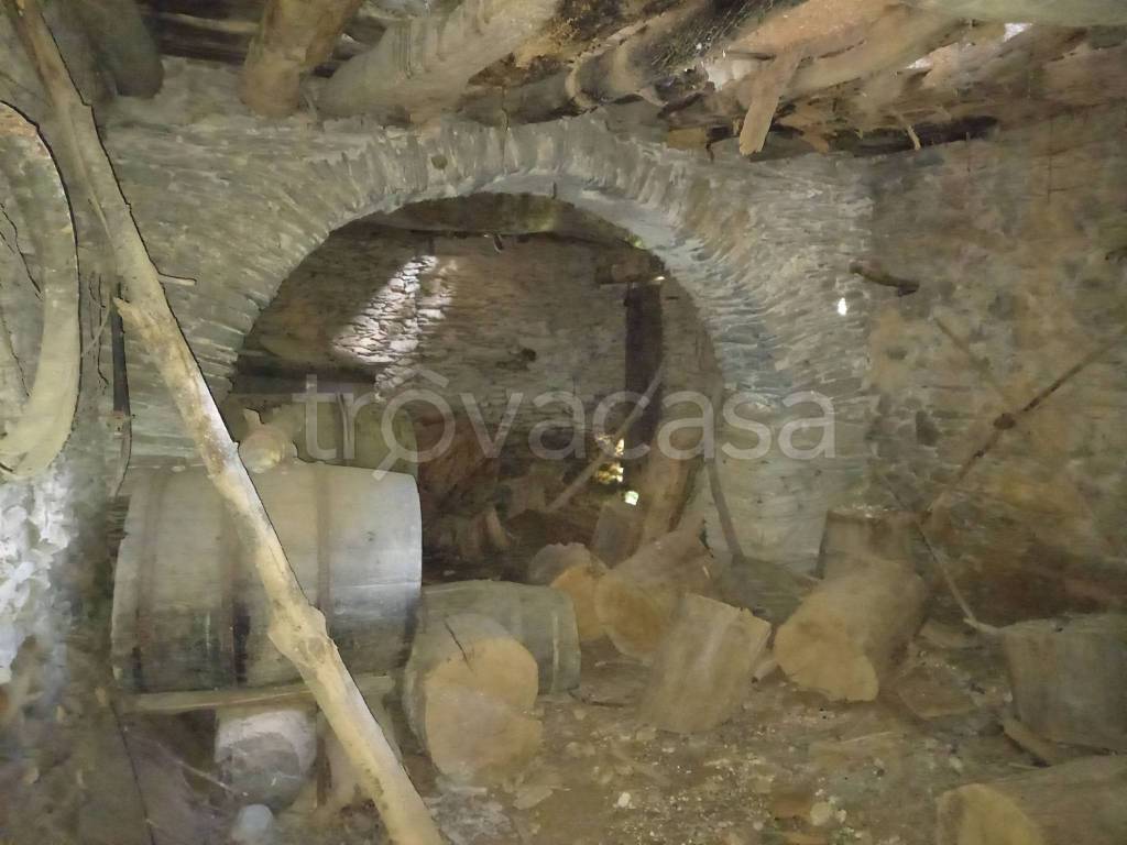 immagine annuncio 11 di 14