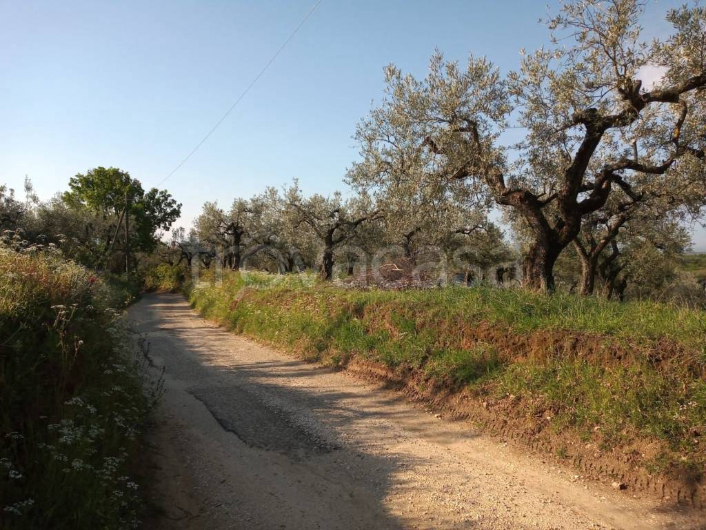 immagine annuncio 1 di 3