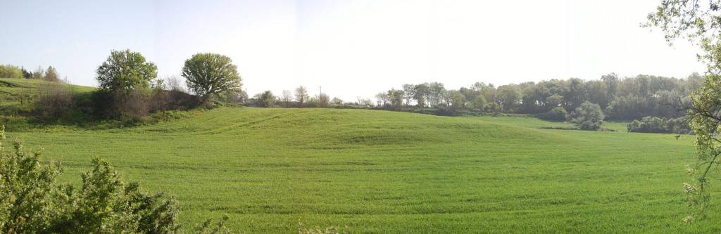 immagine annuncio 2 di 12