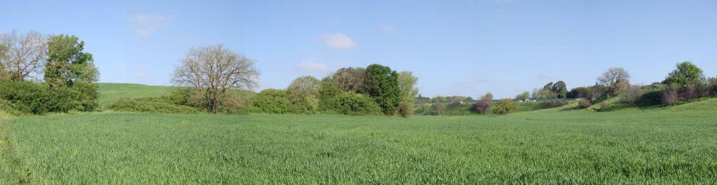 immagine annuncio 3 di 12