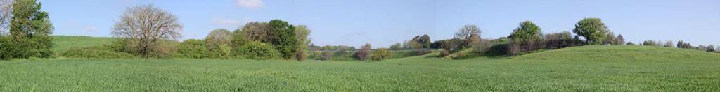 immagine annuncio 4 di 12