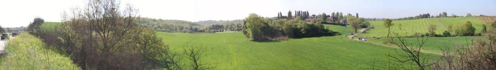 immagine annuncio 5 di 12