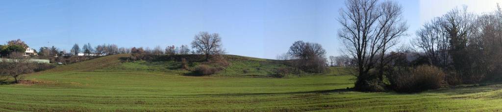 immagine annuncio 6 di 12