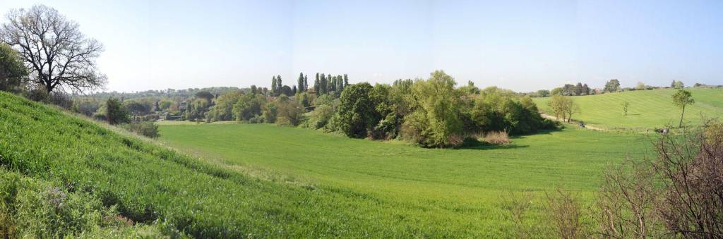 immagine annuncio 7 di 12