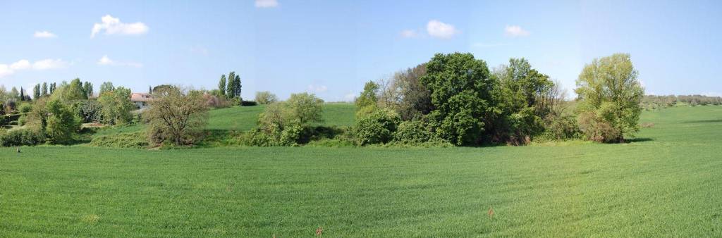 immagine annuncio 8 di 12