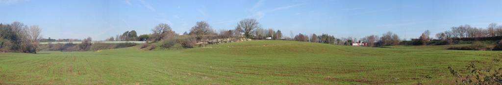 immagine annuncio 10 di 12