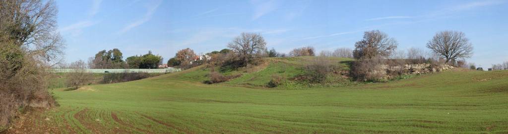 immagine annuncio 11 di 12