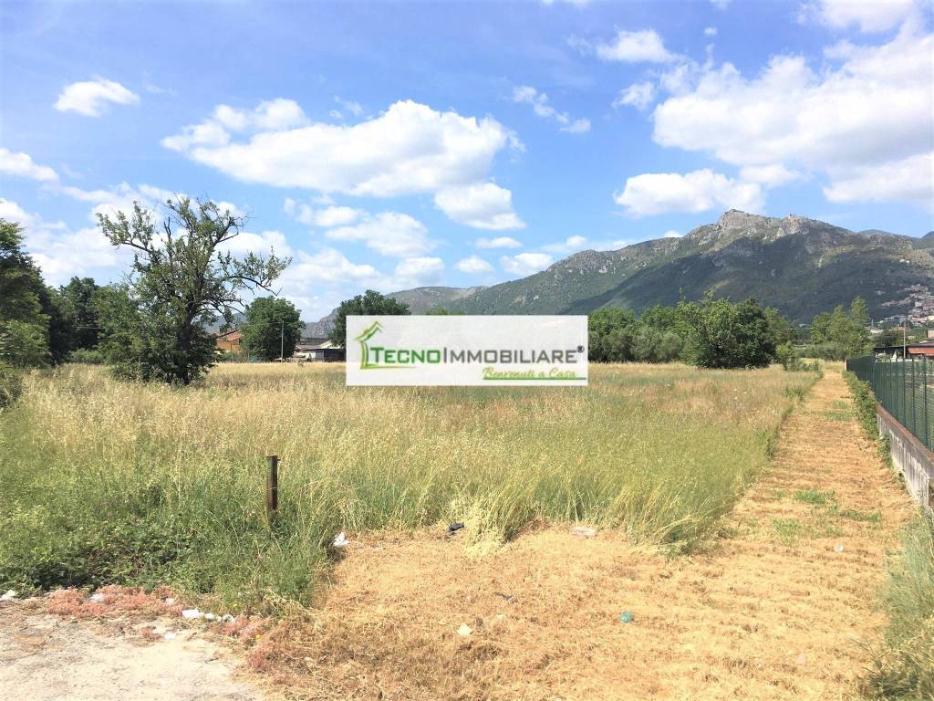 immagine annuncio 2 di 9