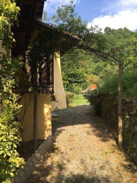 immagine annuncio 6 di 14