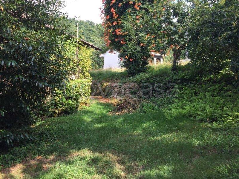 immagine annuncio 8 di 14