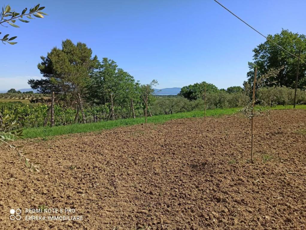 Terreno Residenziale in vendita a Castiglione del Lago strada Provinciale dei Lopi