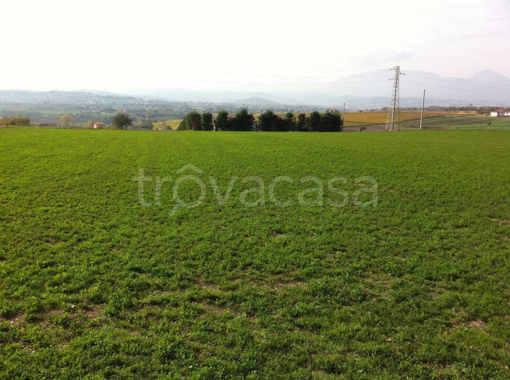 Terreno Agricolo in vendita a Benevento contrada Cancelleria