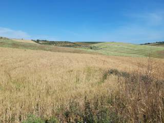 Terreno agricolo in vendita a balestrate contrada calatubo