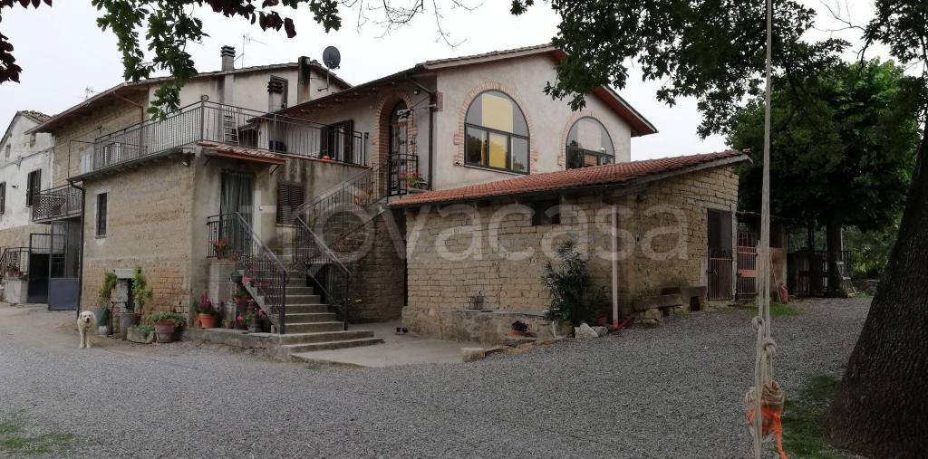 Casa Indipendente in in vendita da privato a Sarteano via della Moline, 3