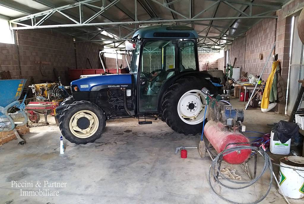 immagine annuncio 12 di 15