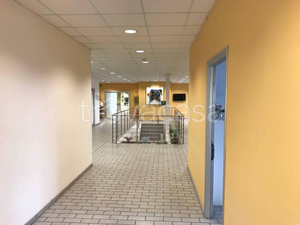 immagine annuncio 2 di 7