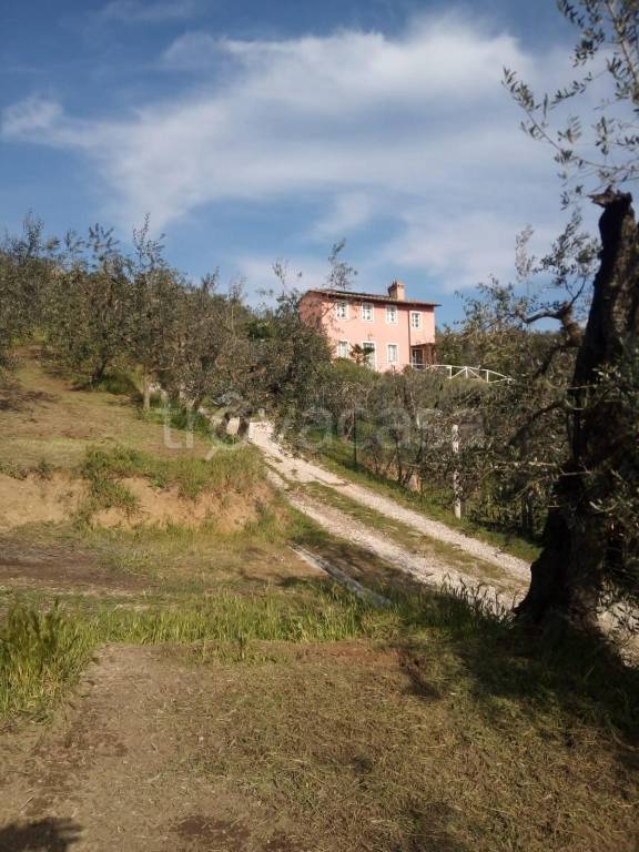 immagine annuncio 2 di 3