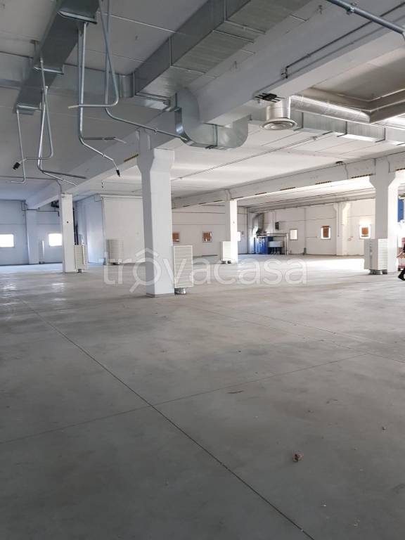 immagine annuncio 2 di 8