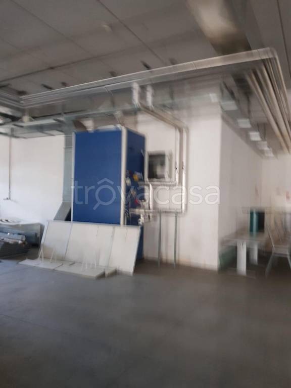 immagine annuncio 5 di 8