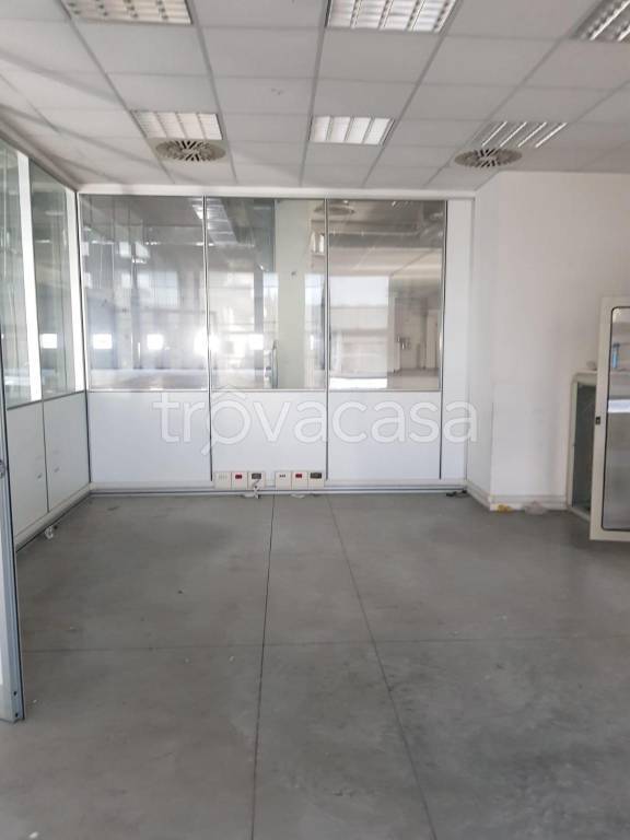 immagine annuncio 6 di 8