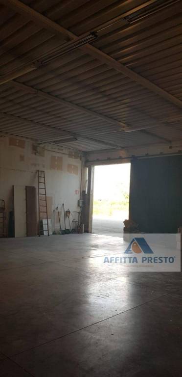 immagine annuncio 4 di 8