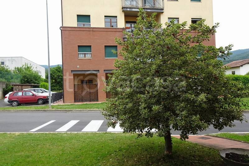 immagine annuncio 4 di 13