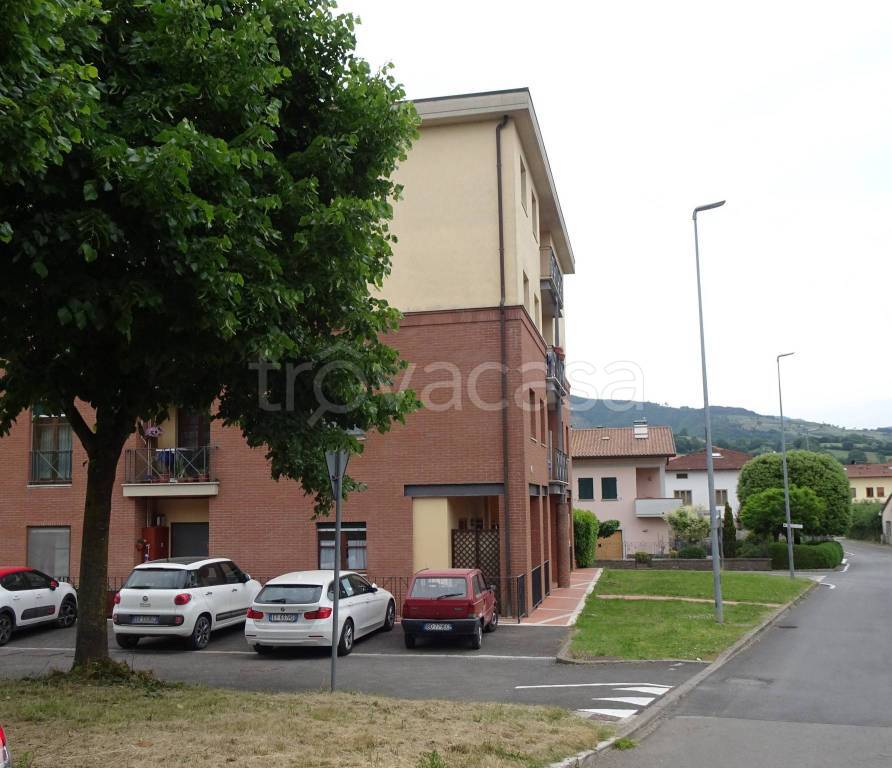 immagine annuncio 6 di 13