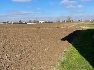 Terreno agricolo in vendita a mira riviera san pietro 99