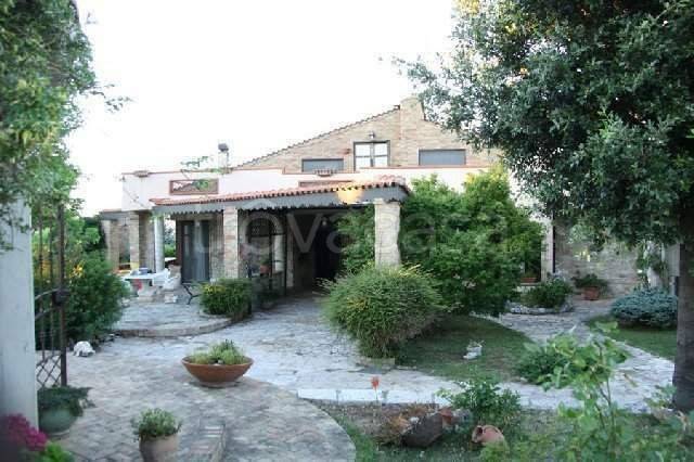 Villa Bifamiliare in in vendita da privato a Termoli via delle Orchidee, 2