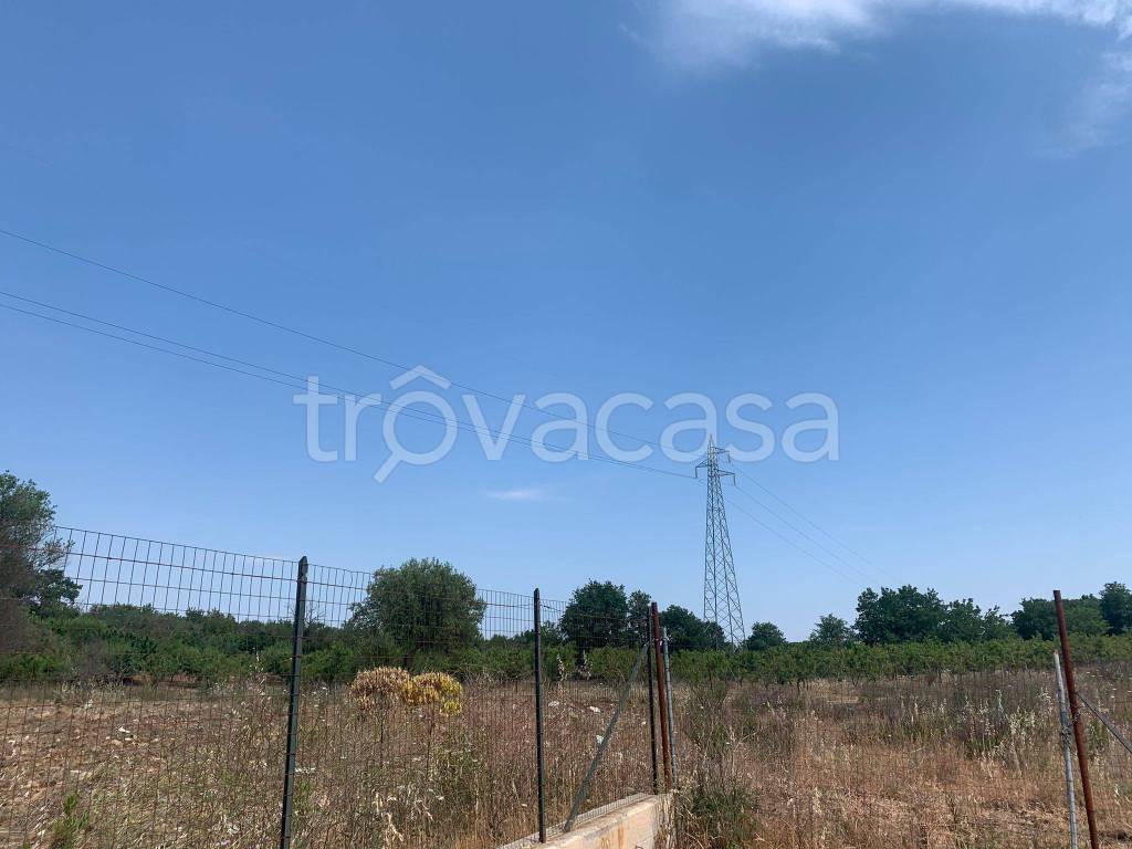 immagine annuncio 1 di 8