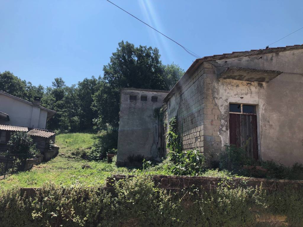 immagine annuncio 8 di 14