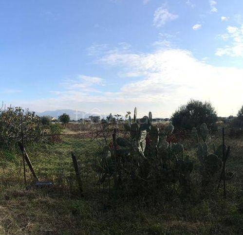 Terreno Agricolo in vendita a Reggio di Calabria