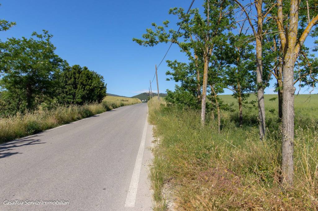 immagine annuncio 4 di 9