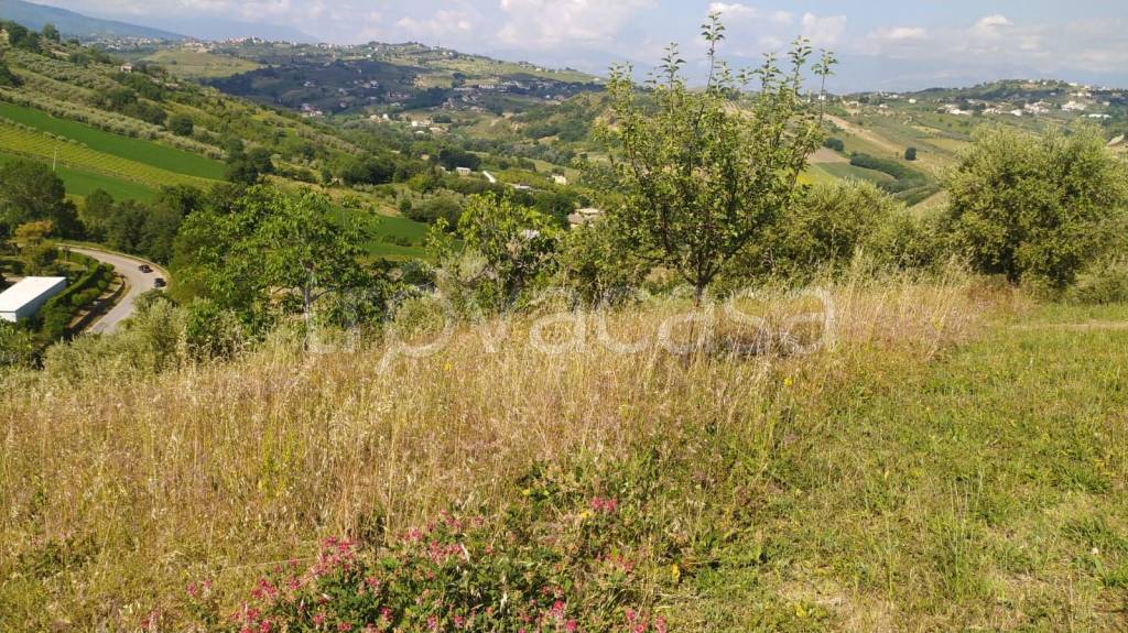 immagine annuncio 12 di 15