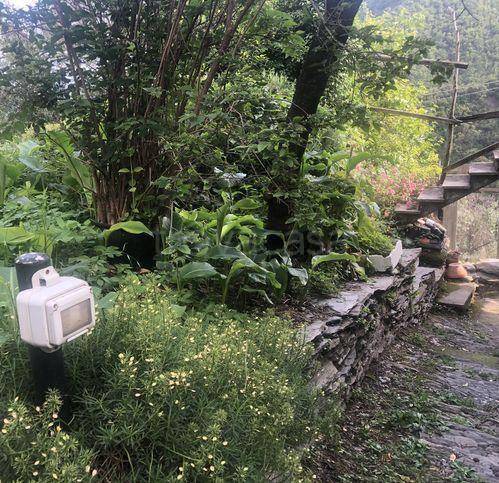 immagine annuncio 5 di 8