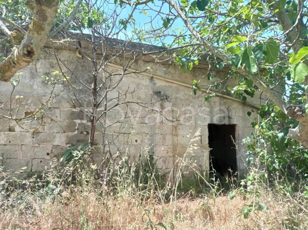 immagine annuncio 2 di 14