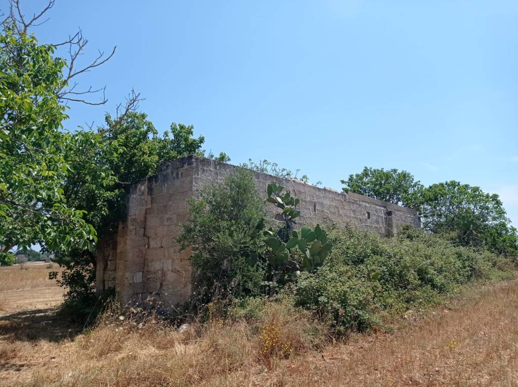 immagine annuncio 3 di 14