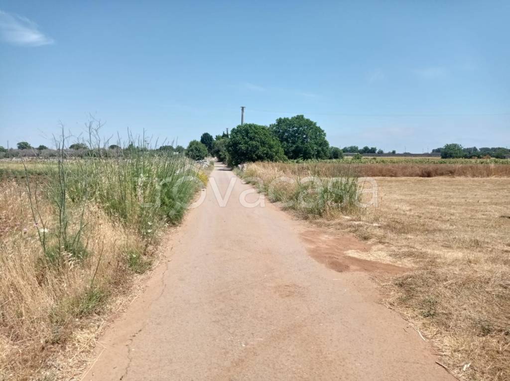 immagine annuncio 4 di 14