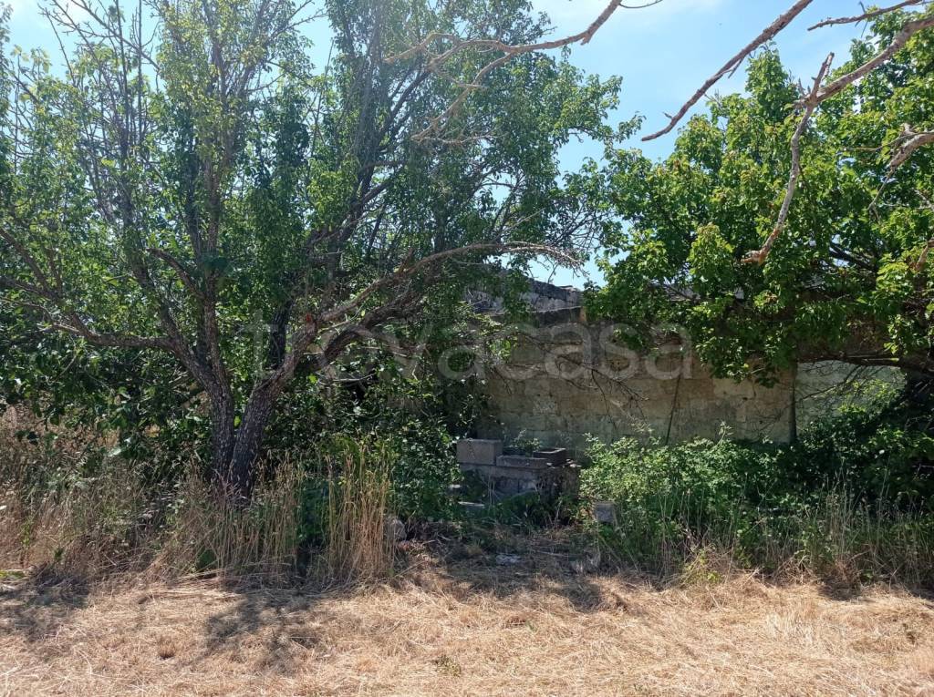 immagine annuncio 10 di 14