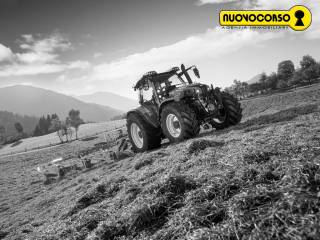 Terreno agricolo in vendita a canaro 