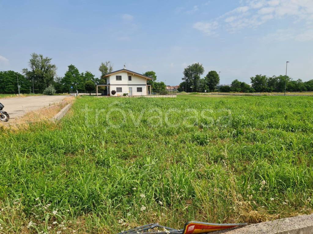 immagine annuncio 2 di 4