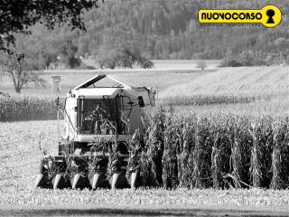 Terreno agricolo in vendita a ferrara 