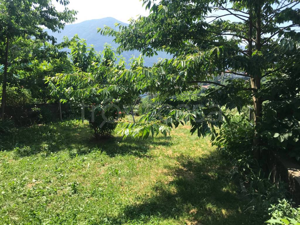 immagine annuncio 7 di 13