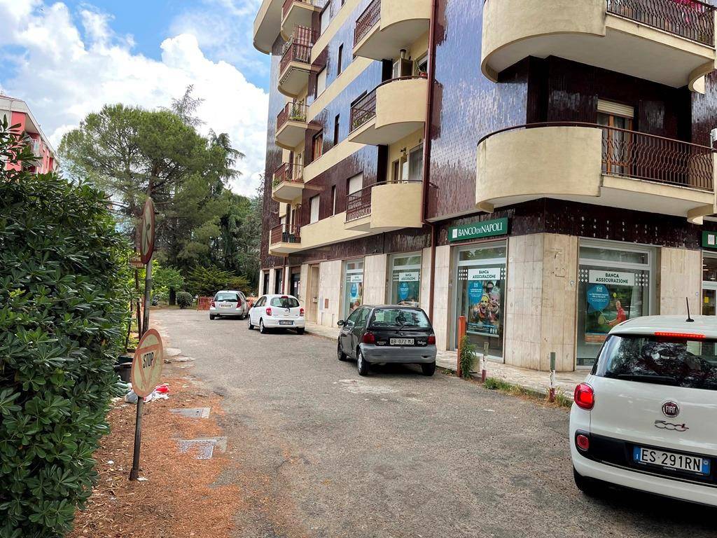 immagine annuncio 11 di 14