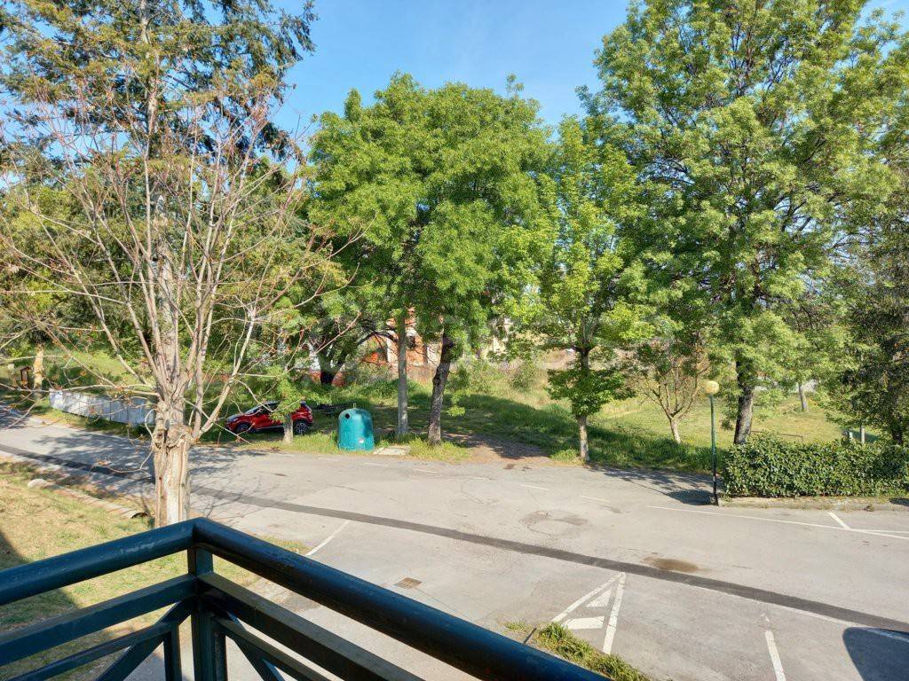 immagine annuncio 11 di 14