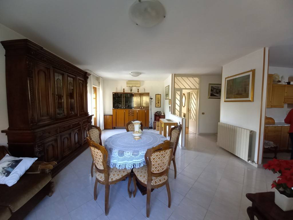 immagine annuncio 4 di 14